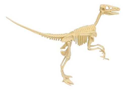 633361-MLA79698711686_102024