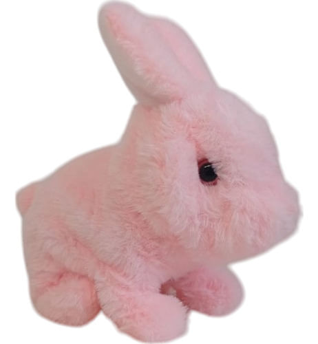 878402-MLA88522185283_072025