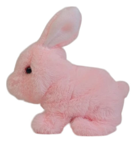 832960-MLA88522185281_072025