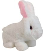 704253-MLA88522185277_072025