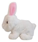 897812-MLA88522185285_072025