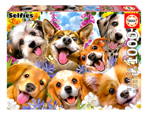 956589-MLA77089851091_062024