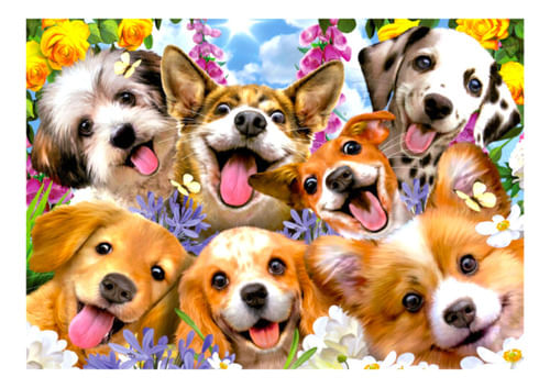 858599-MLA77090126329_062024