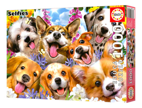 802328-MLA77089663739_062024