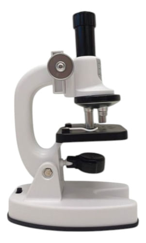 986886-MLA88511807573_072025