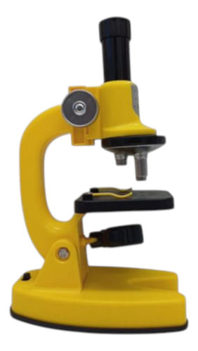 960264-MLA88169054378_072025