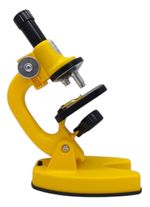 813528-MLA88512005501_072025