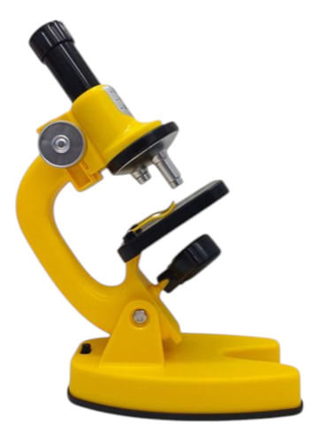 813528-MLA88512005501_072025