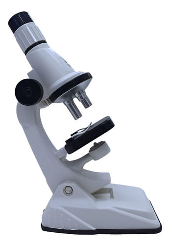 833224-MLA91819195922_092025