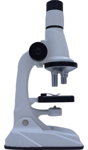 666329-MLA82036336647_012025