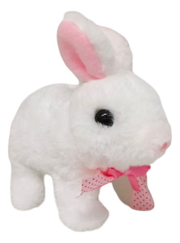 950638-MLA89416722662_082025