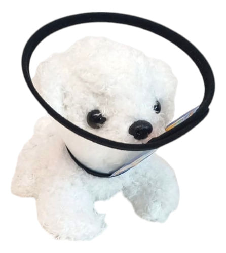 881450-MLA78732145628_092024