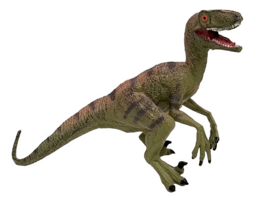 822766-MLA77952597517_072024