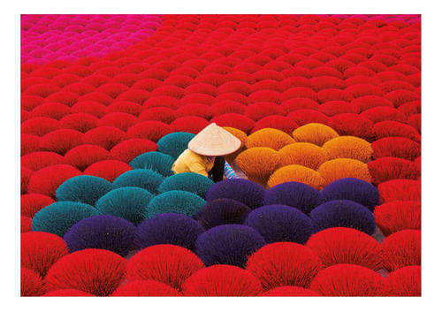 806040-MLA84930229431_052025