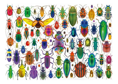 678573-MLA84869001776_052025