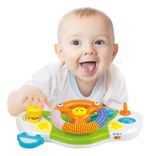 811328-MLA79117935399_092024