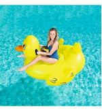 842704-MLA76966060963_062024