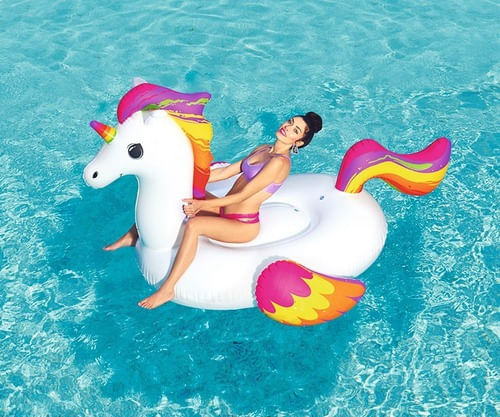 626371-MLA43636232223_092020