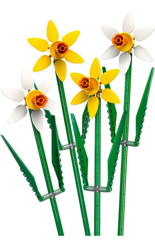 669245-MLA91897369049_092025