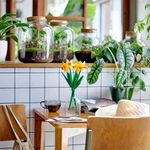 879816-MLA91897269879_092025