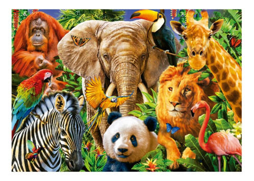 951660-MLA74508047816_022024