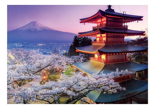 775868-MLU77804596380_072024