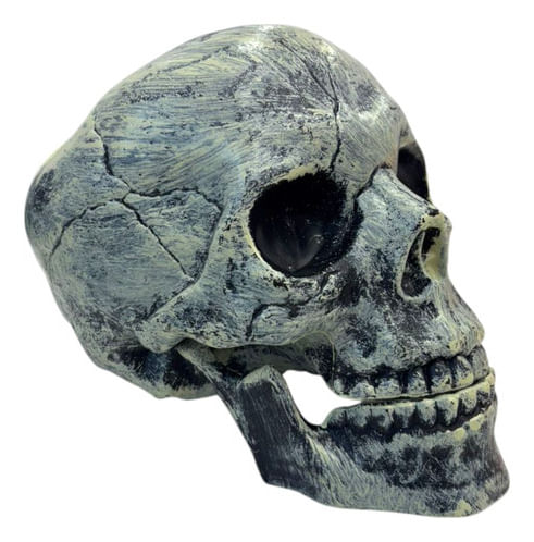 750881-MLA92190726100_092025