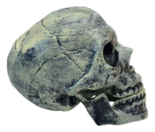 791160-MLA92190726104_092025