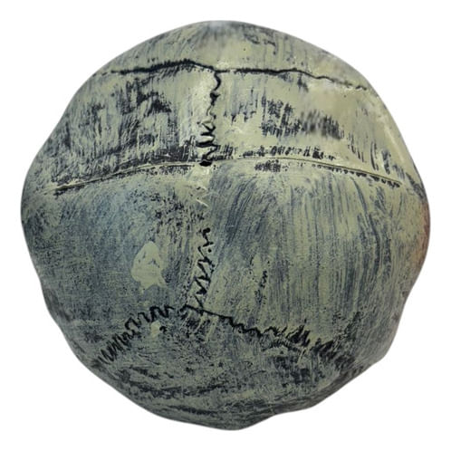 672132-MLA92190726094_092025