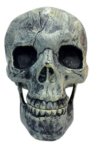 909116-MLA92190726098_092025