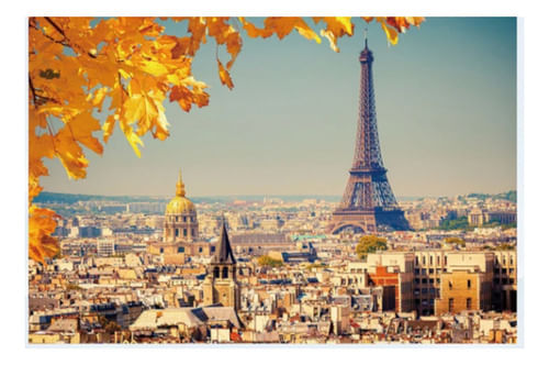 836066-MLA77496185982_072024