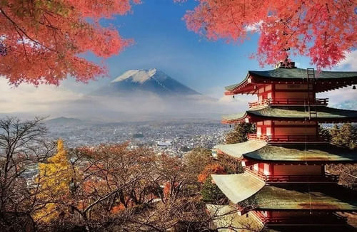 871677-MLU74974326696_032024