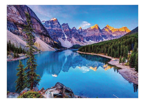 867950-MLA77495270062_072024