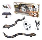 818627-MLA85401447920_062025