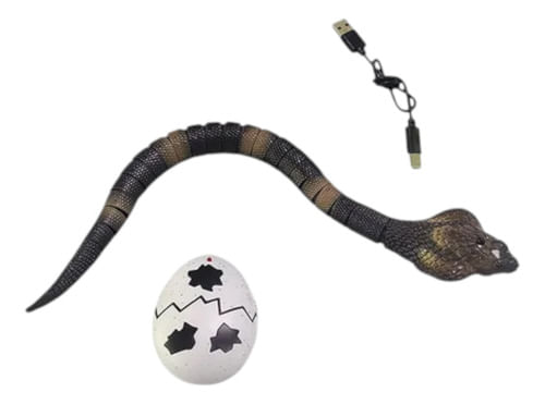 616925-MLA85401625422_062025