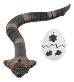 646775-MLA85707511171_062025