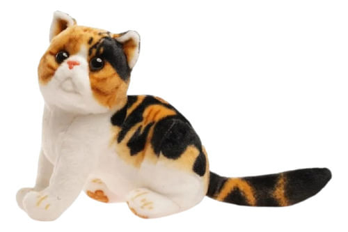 660366-MLA88479851034_072025