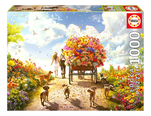 937773-MLA76882434576_062024