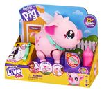 795718-MLA91340678079_082025