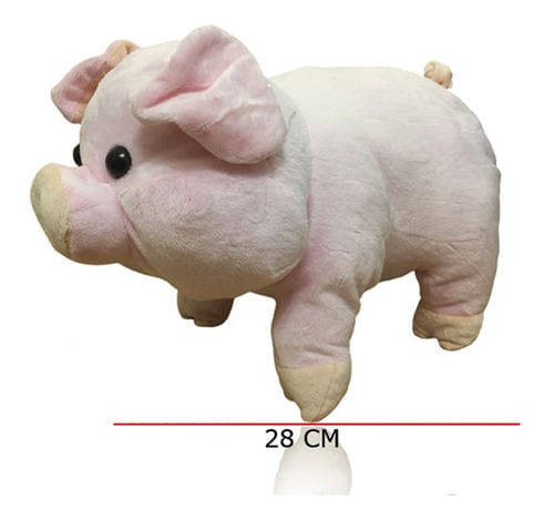 966662-MLA48616818207_122021