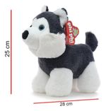 907122-MLA96516338903_102025