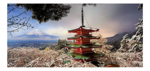 997658-MLA76639193484_062024