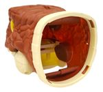 828409-MLA94367475588_102025