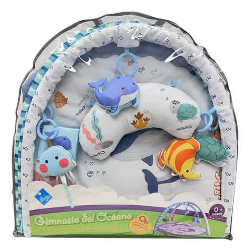 843981-MLA83231356951_032025