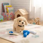 684785-MLA97224543013_112025