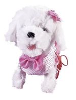 895494-MLA43438615961_092020