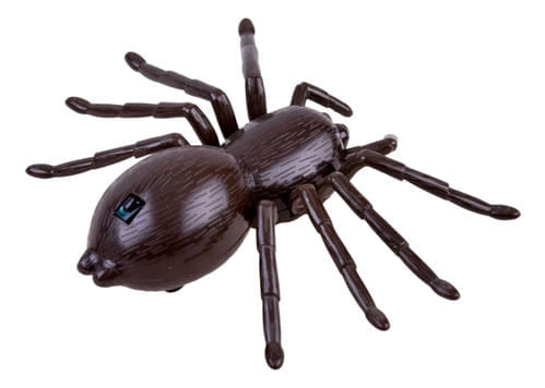 881756-MLA90546662024_082025