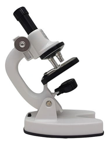 645985-MLA90070923559_082025