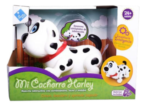 735357-MLA89280158315_082025