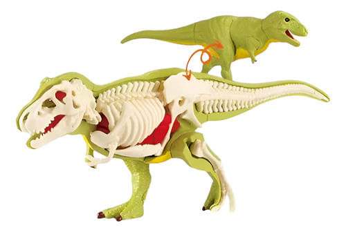 627781-MLA103364666514_012026